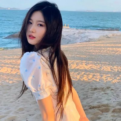 一条叫王子的狗